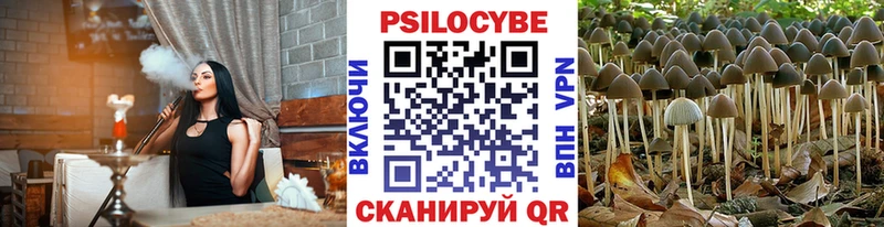 Купить  Реутов  Псилоцибиновые грибы Cubensis